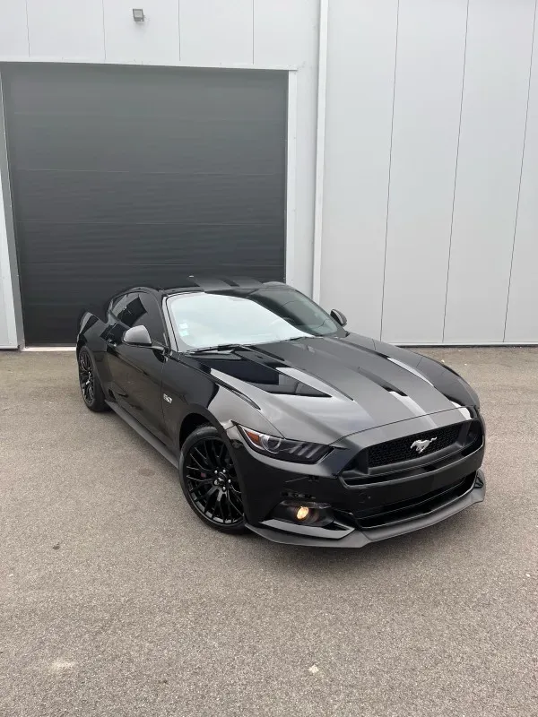 Protection Ford Mustang GT